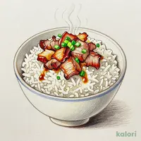 Pork Niku Gohan