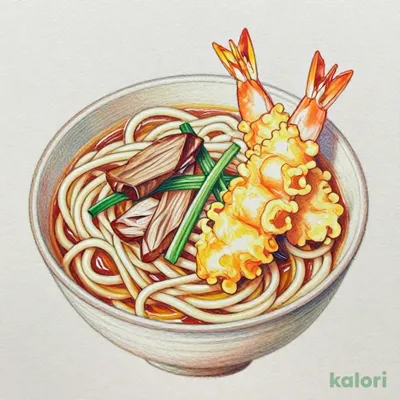 大海老天ぷら付鴨汁つけうどん