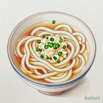 Grated Yam Udon (Set Meal)