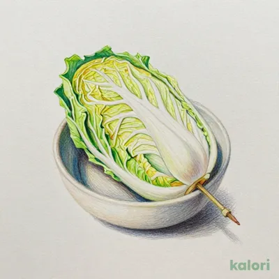 キャベツ