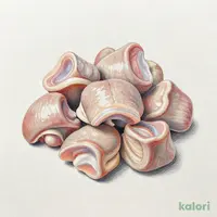 砂肝