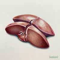 ふわトロ牛レバー