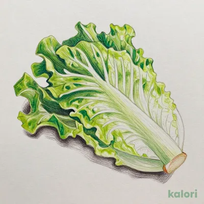 サンチュ