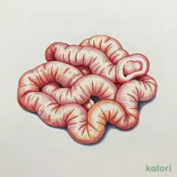 ブタホルモン(塩・味噌・激辛)