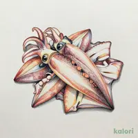 プチ紋甲イカ