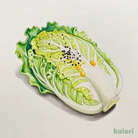 安安塩キャベツ