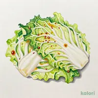 塩キャベツ(レギュラー・ハーフ)