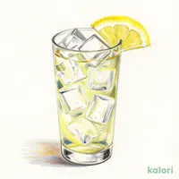 Non-Alcoholic Highball