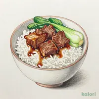 牛バラ肉かけご飯