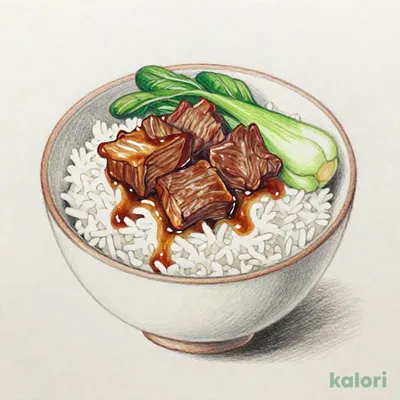 牛バラ肉かけご飯