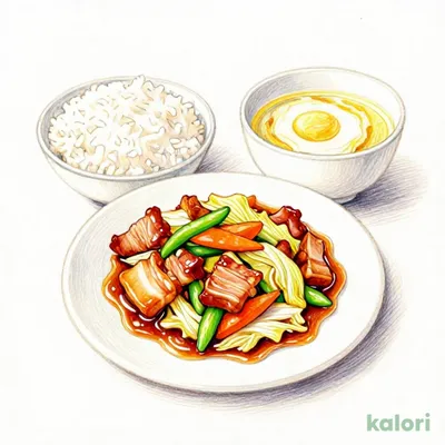 Hoikoro Set Meal