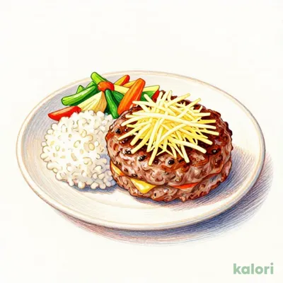 TO 鬼おろし手ごねハンバーグ弁当(300g)