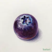 浅田飴　のど飴　ブルーベリー味　７０ｇ(ﾌﾞﾙｰﾍﾞﾘｰ)