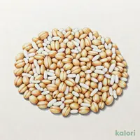 【お取り寄せ】はくばく もち麦 800g