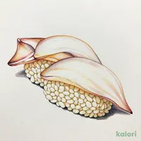 いか