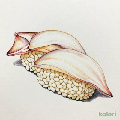 Squid Nigiri Sushi