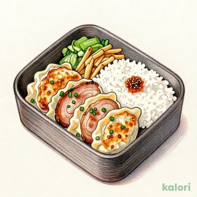 Juicy Gyoza & Seared Chashu Pork Bento