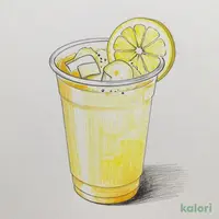 Lemonade (Hot/Soda)