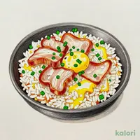 とんとろ炒飯