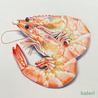 大粒むきえび