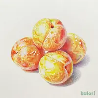 紀州産南高梅 うす塩味 200g