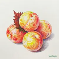 紀州産南高梅 しそ漬け 200g