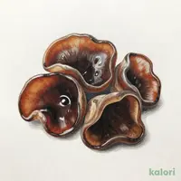 きくらげ