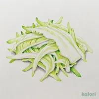 ふんわりキャベツ
