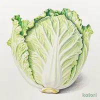 白菜