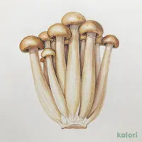 茶えのき茸