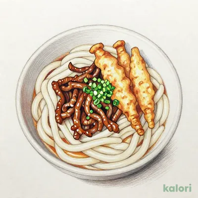 【九州】こだわりだしの肉ごぼう天うどん