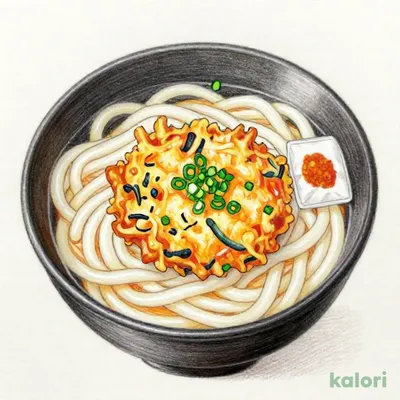 こだわりだしのかき揚げうどん