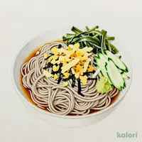 石臼挽きそば粉の大盛冷しぶっかけそば