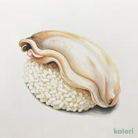 つぶ貝