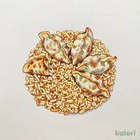 半チャン餃子セット