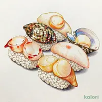 貝づくし