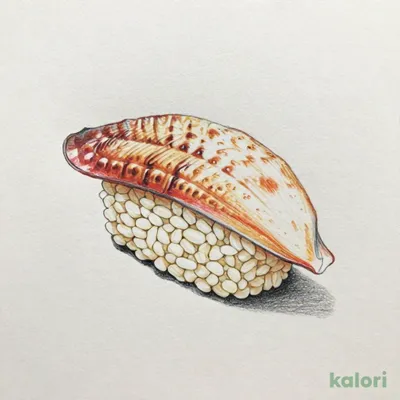 Akagai (Ark Shell Sushi), 1 pc