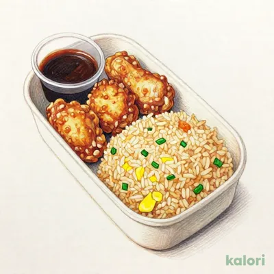 から揚げ＆チャーハン弁当（タレ付）