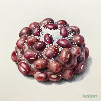 晴つぶあん