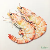 のばし海老3L(XXL)