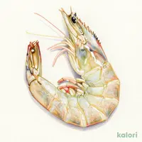 のばし海老L