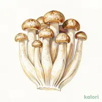 ぶなしめじ