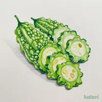 冷凍ゴーヤスライス