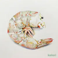 大粒むきえび