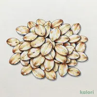 本格オートミール