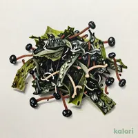 芽ひじき