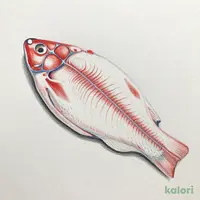 骨とり赤魚 切身