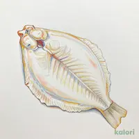 骨取りカレイ切り身(皮なし)