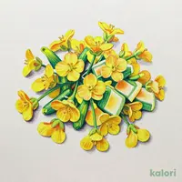 ＩＱＦ菜の花