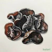 黒きくらげ(乾燥)